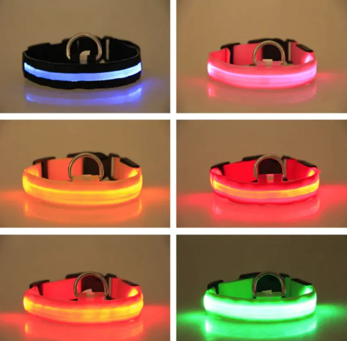 Pet Care Paradise ShineSafe LED Collar