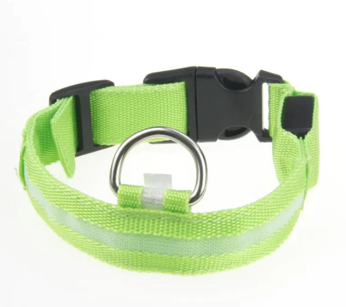 Pet Care Paradise ShineSafe LED Collar