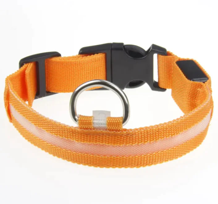 Pet Care Paradise ShineSafe LED Collar