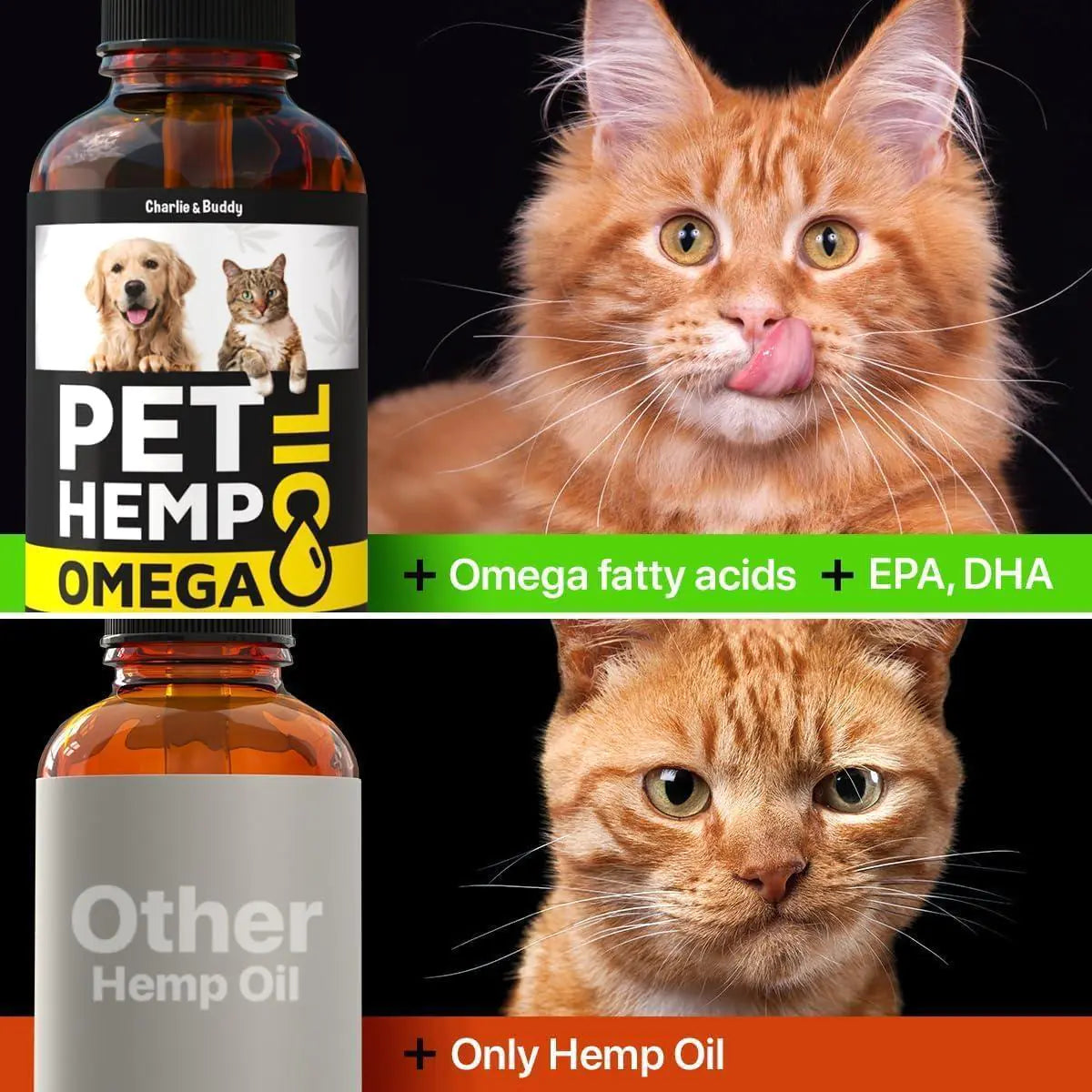 Pet Care Paradise VitalPaws Hemp & Salmon Oil for Dogs & Cats