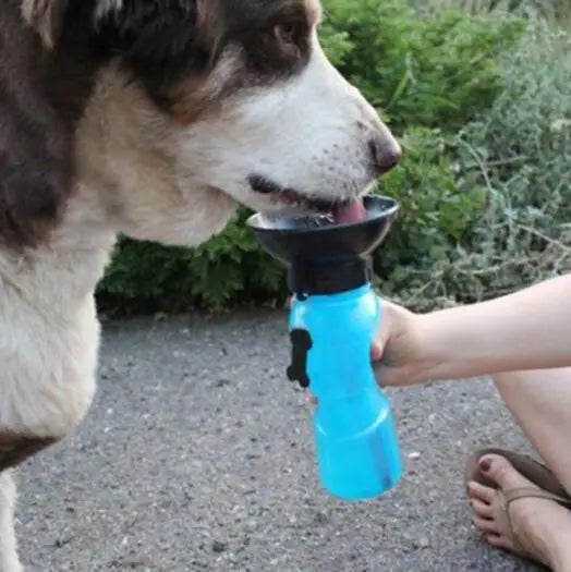 Pet Care Paradise HydroTap Portable Bottle