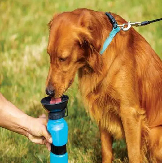 Pet Care Paradise HydroTap Portable Bottle