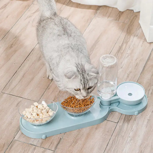 Pet Care Paradise TwinBowl Auto Dispenser