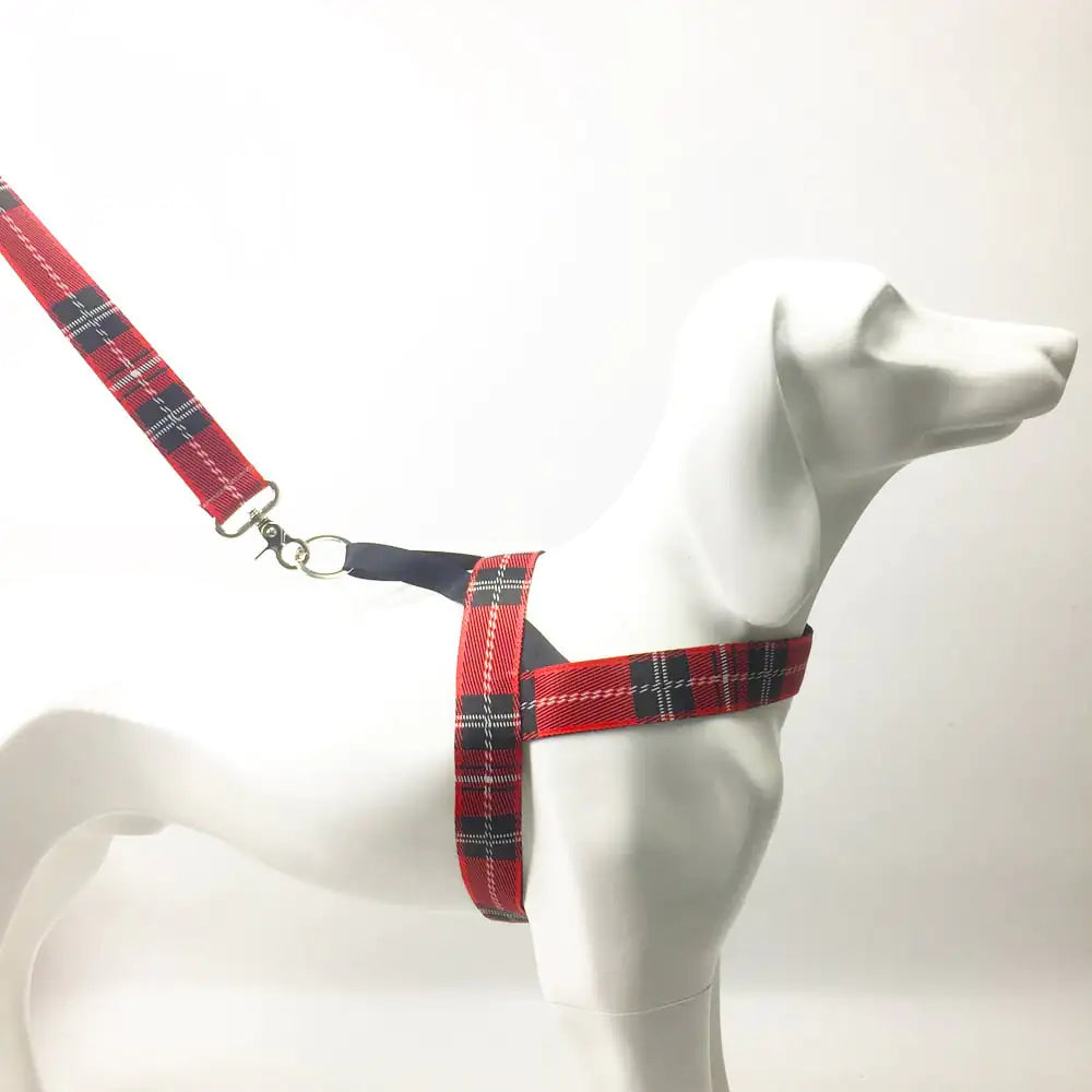 Pet Care Paradise TrekEase Dog Harness