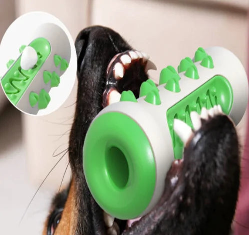 Pet Care Paradise ChewClean Toothbrush Toy
