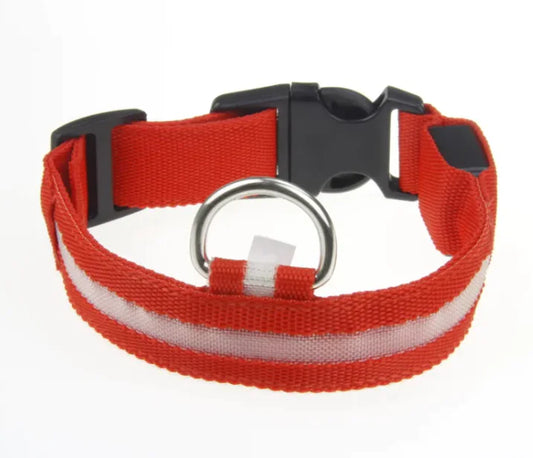 Pet Care Paradise ShineSafe LED Collar