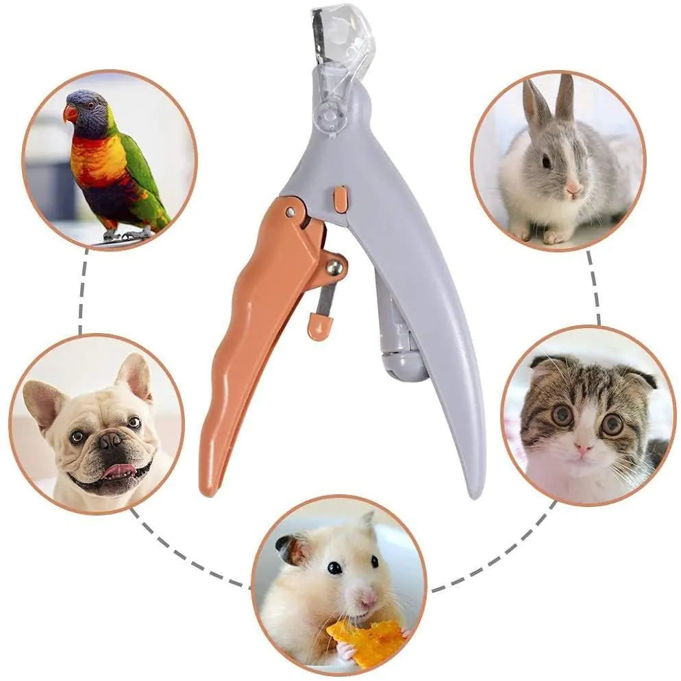 Pet Care Paradise ClearCut LED Clipper