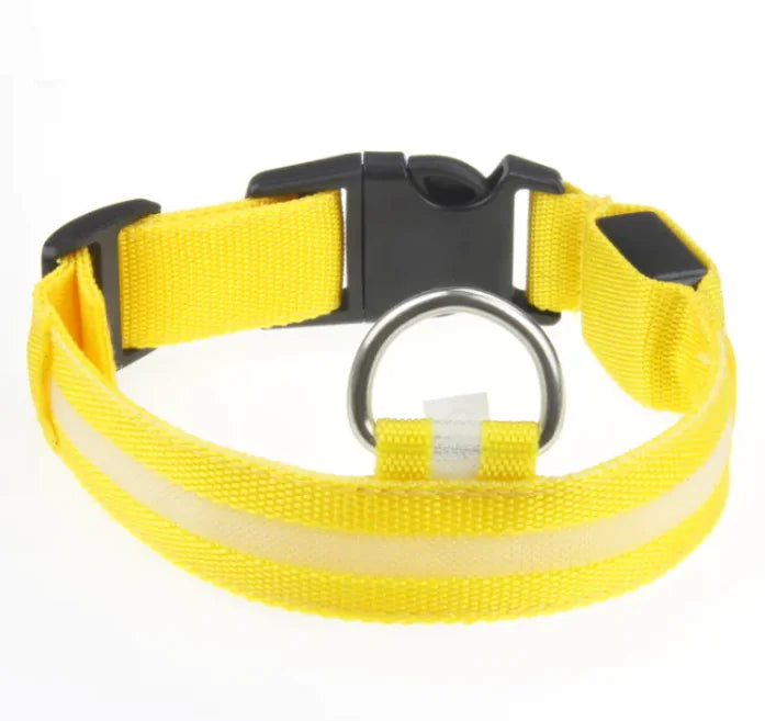 Pet Care Paradise ShineSafe LED Collar