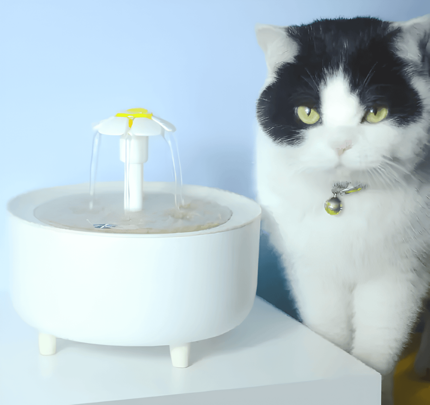 Pet Care Paradise AquaPaws Fountain